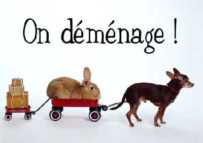 L'élevage déménage !!!